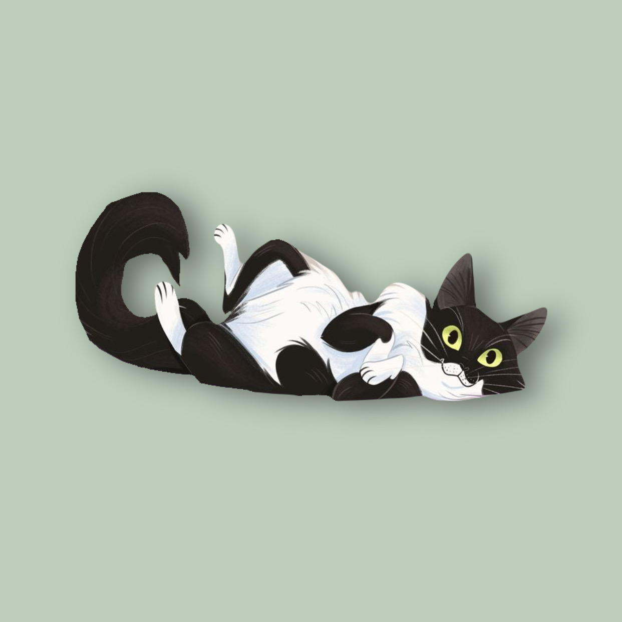 Сухие корма для взрослых кошек